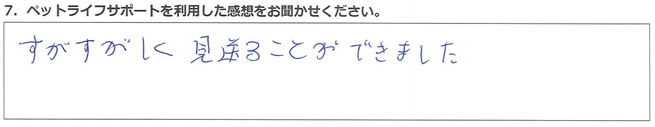 すがすがしく見送ることができました。