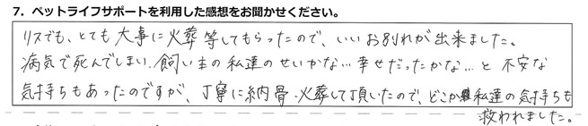 リスでも、とても大事に火葬等してもらったので、いいお別れが出来ました。病気で死んでしまい、飼い主の私のせいかな・・・幸せだったかな・・・と、不安な気持ちもあったのですが、丁寧に納骨、火葬して頂いたので、どこか私達の気持ちも救われました。
