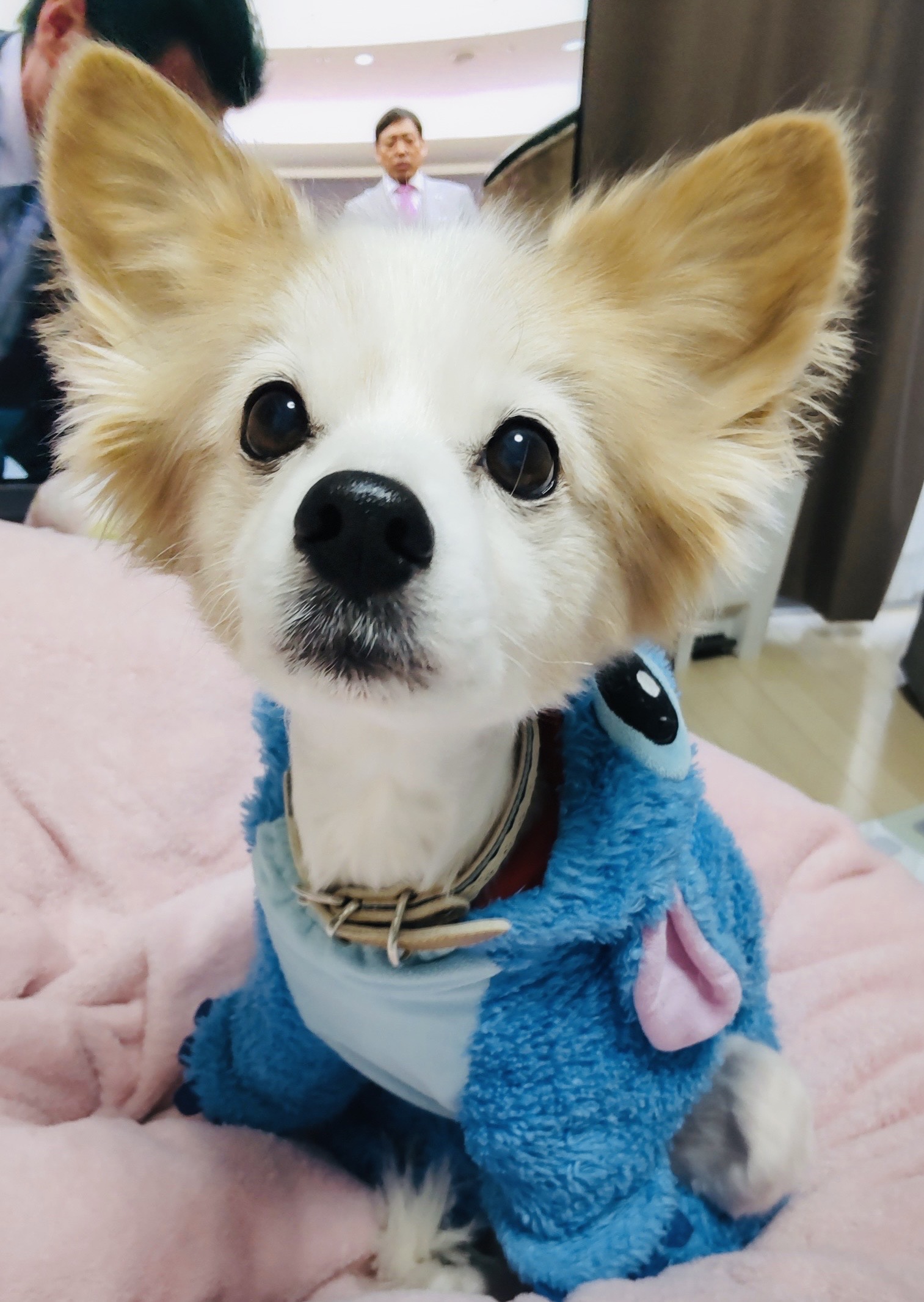 ヴィヴィちゃん