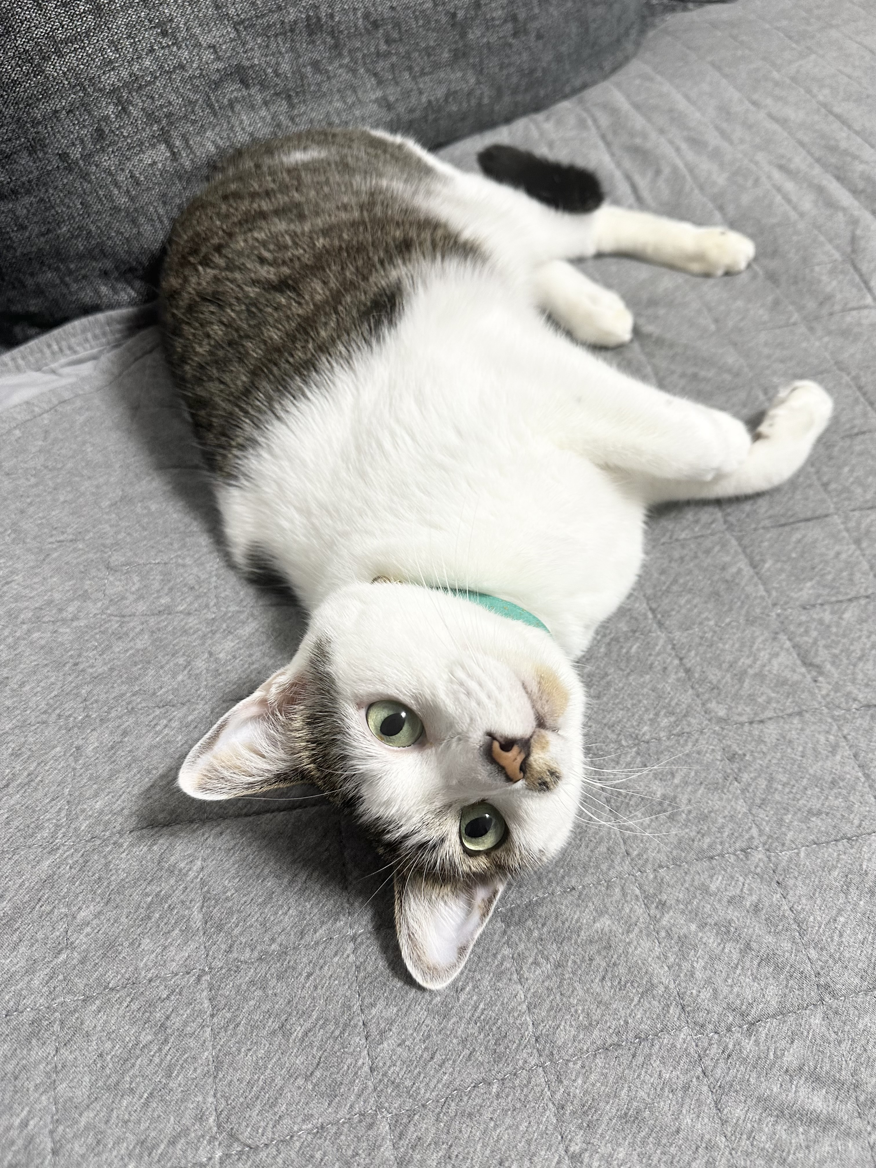 いっちゃん