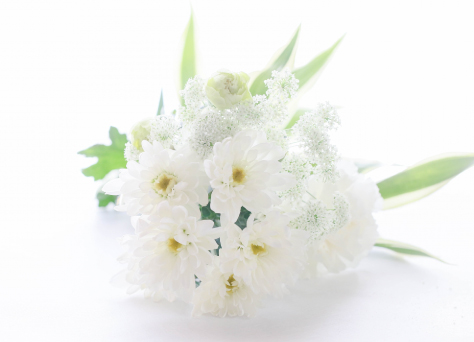 お花
