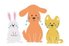 ペット火葬業者選びにご注意