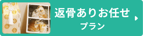 返骨ありお任せプラン