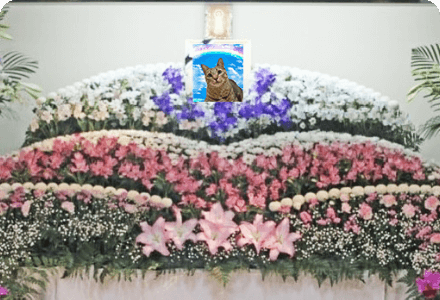 祭壇花飾りの画像
